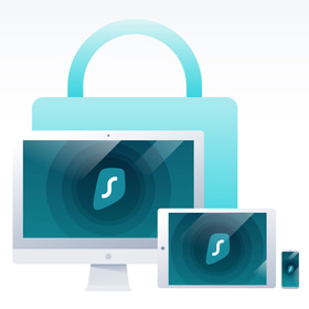 EdoVPN ビジネスVPN