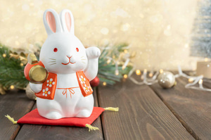 Happy New Year! Enjoy Chinese New Year’s Promotion Code
